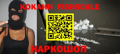 крисы Краснознаменск
