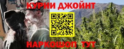 крисы Краснознаменск